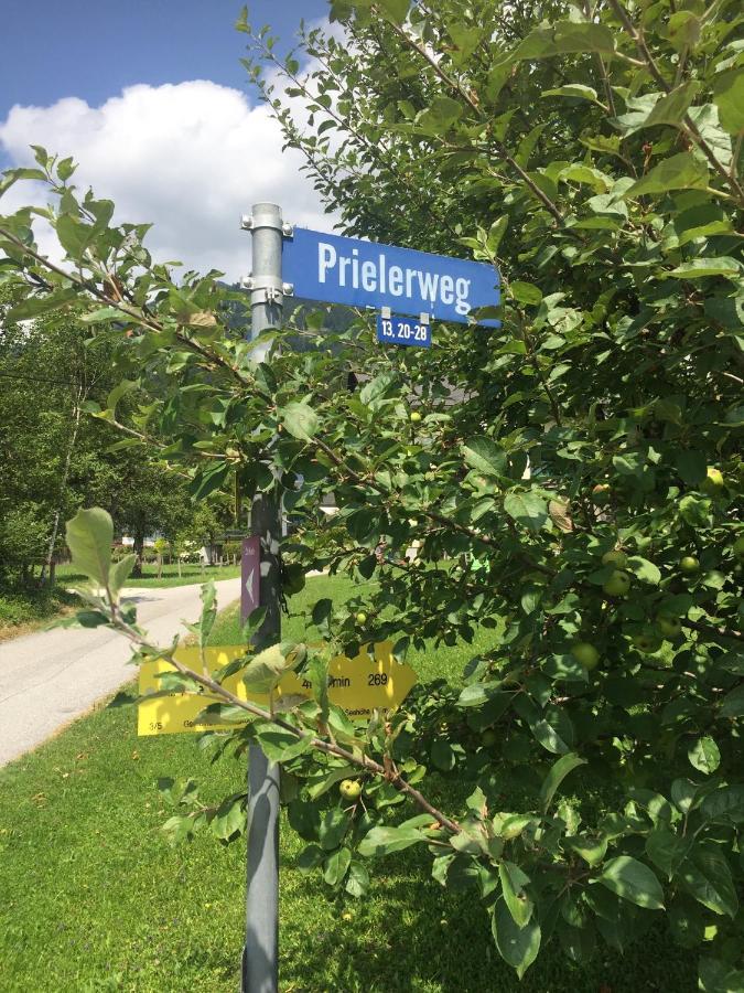 Exklusive Ferienwohnung Am Prielerweg In Hinterstoder Bagian luar foto